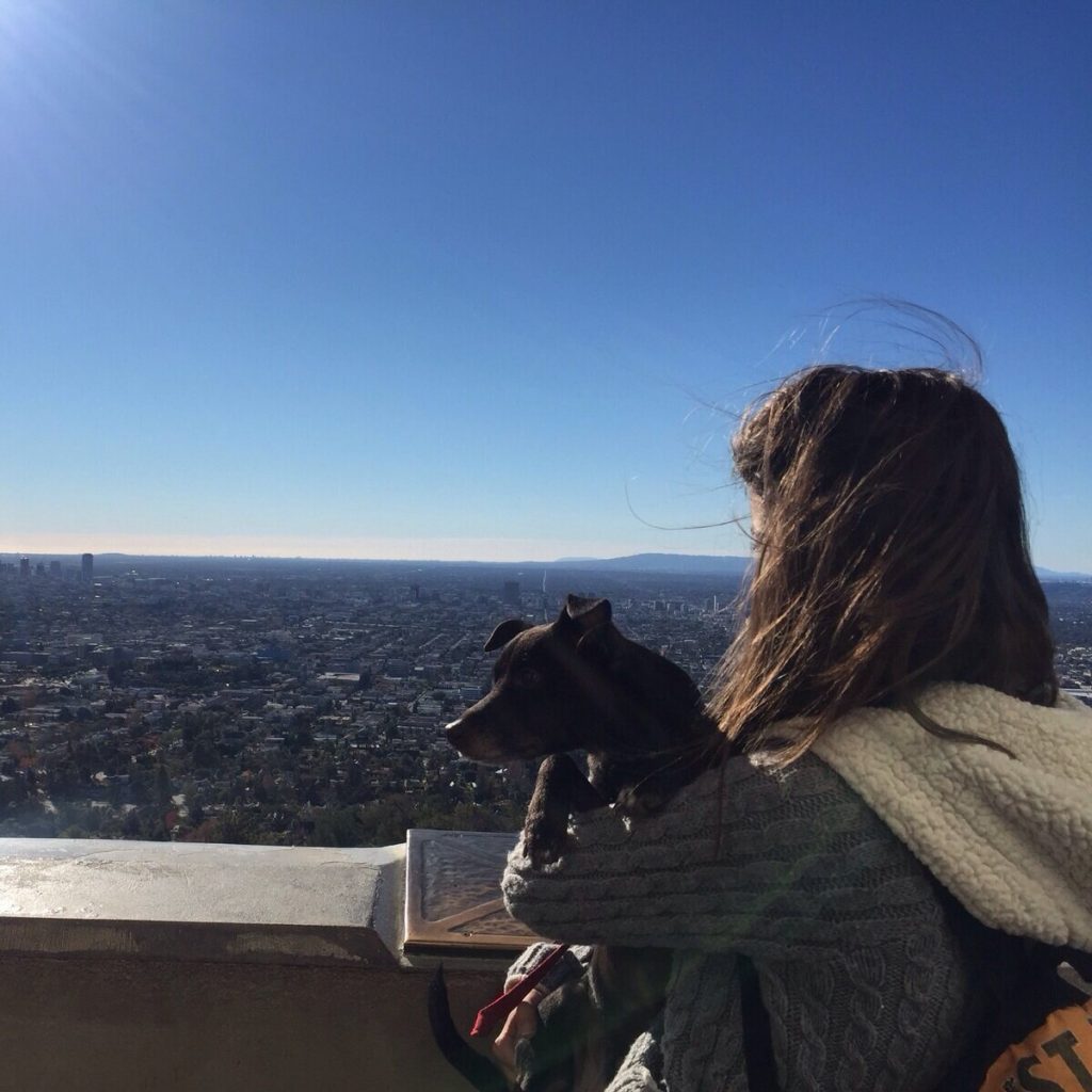 Job Search Abroad (Insights from Spain to US) Sincerely, Spain