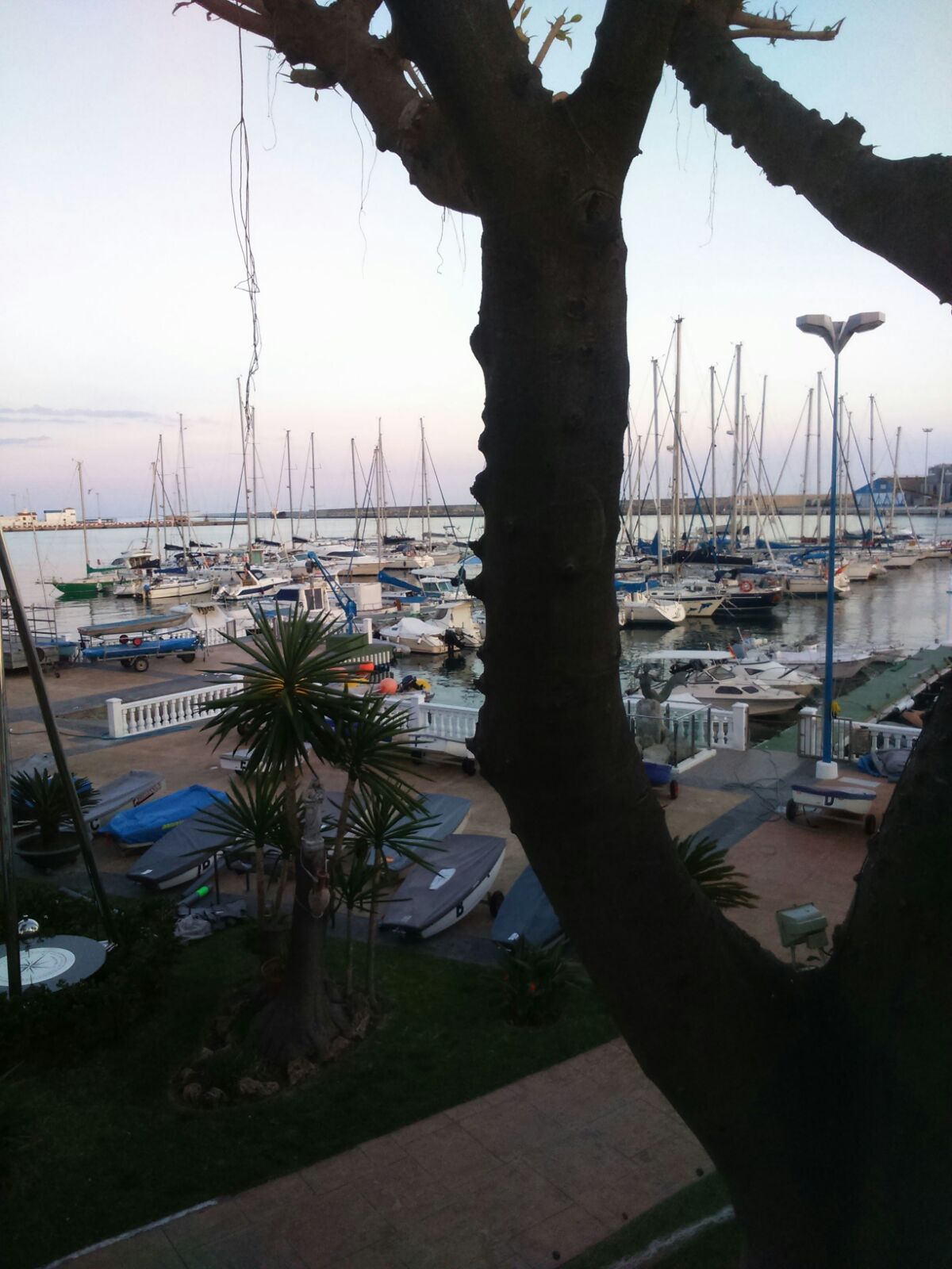 The port of Motril