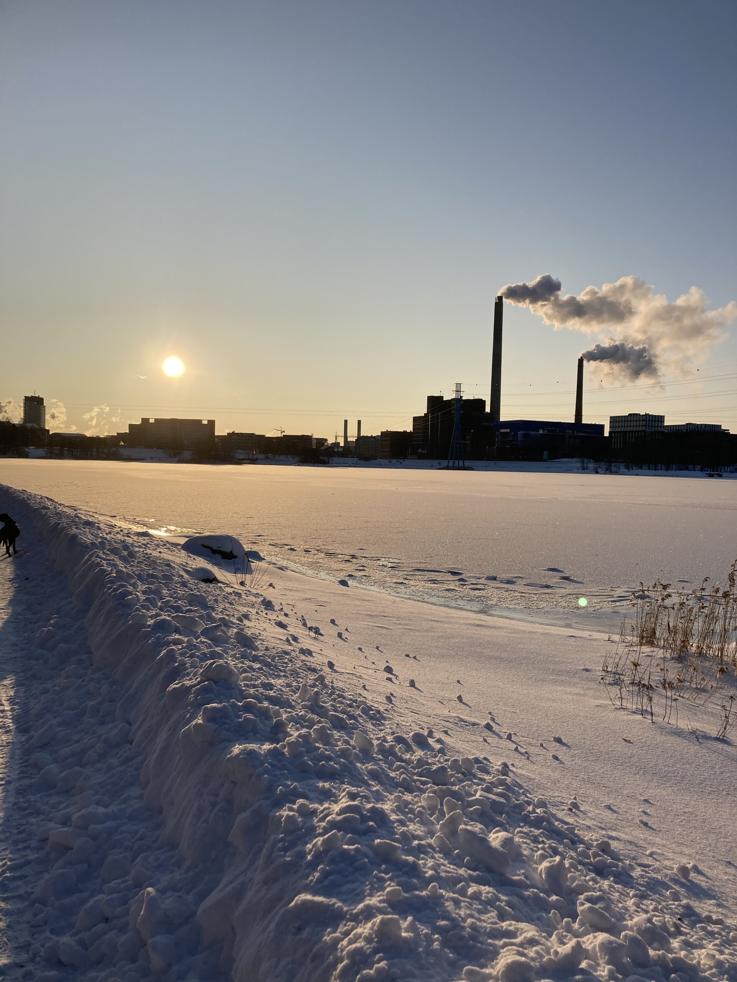 During Finnish winter, the sun doesn’t usually get much higher than this (when we see it that is).