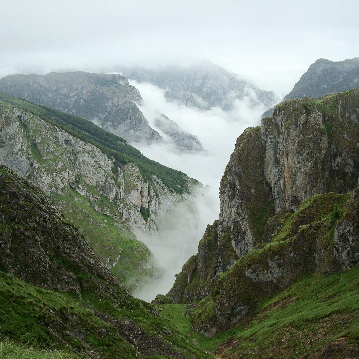 Picos de Europa, Asturias. Photo by bulumalulu on Pixabay