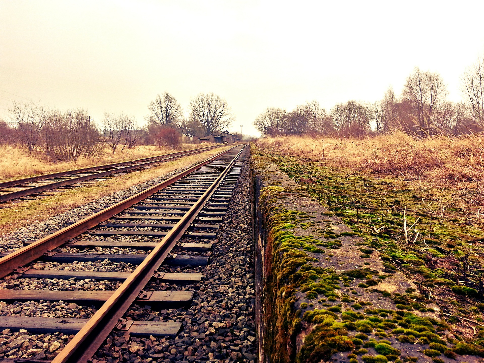 Train tracks. Photo by CodeCondo on Pixabay.
