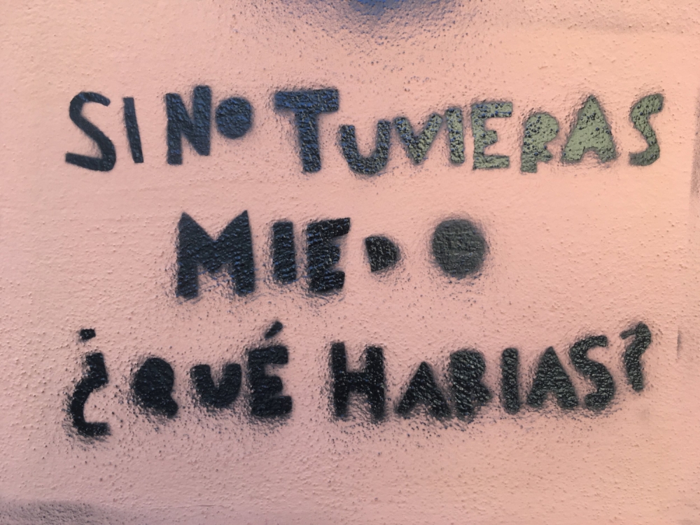 I saw this graffiti the other day in Granada and it really made me think. Translation: "What would you do if you were not afraid?"