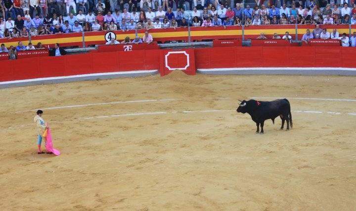 Bullfight. Granada. 2011 Photo Source: Ali Bonnell
