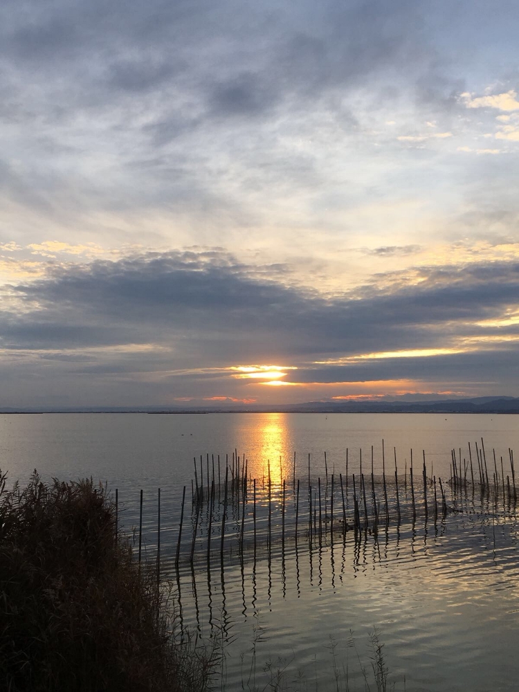 The natural parks in Spain, like Albufera, are amazing.&nbsp;