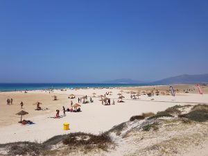 beaches